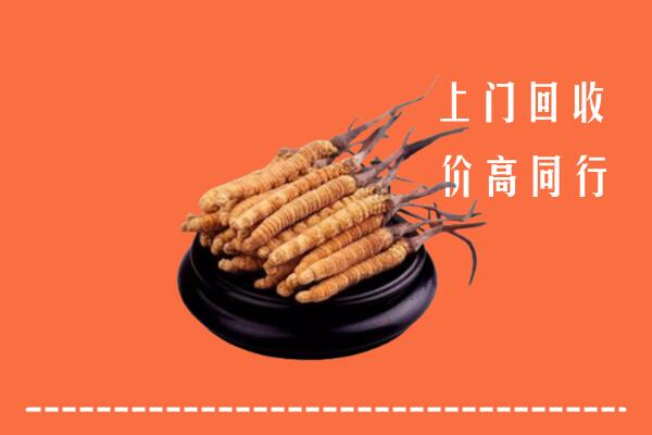 高价求购：泉州市回收散虫草