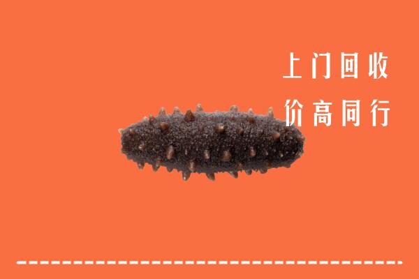 高价求购：泉州市回收海参