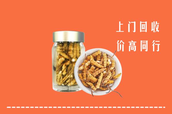 泉州市回收冬虫夏草
